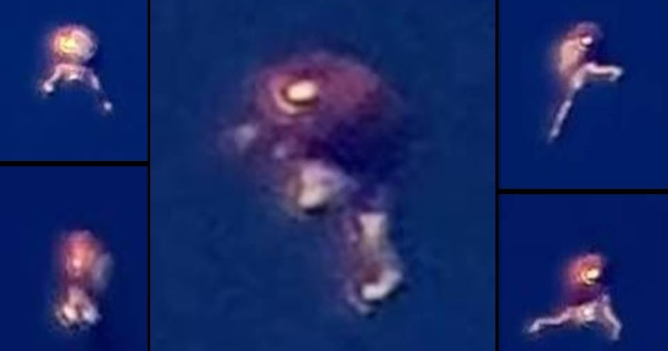 Strange Polymorphic Anomaly in the sky over Miami, Fl |UFO ...