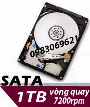 ổ cứng laptop 1tb 7200rpm o cung laptop 1tb 7200rpm