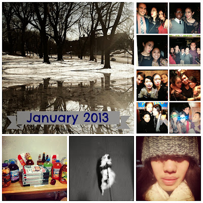 January 2013 collage