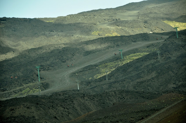 _DSC0823.JPG