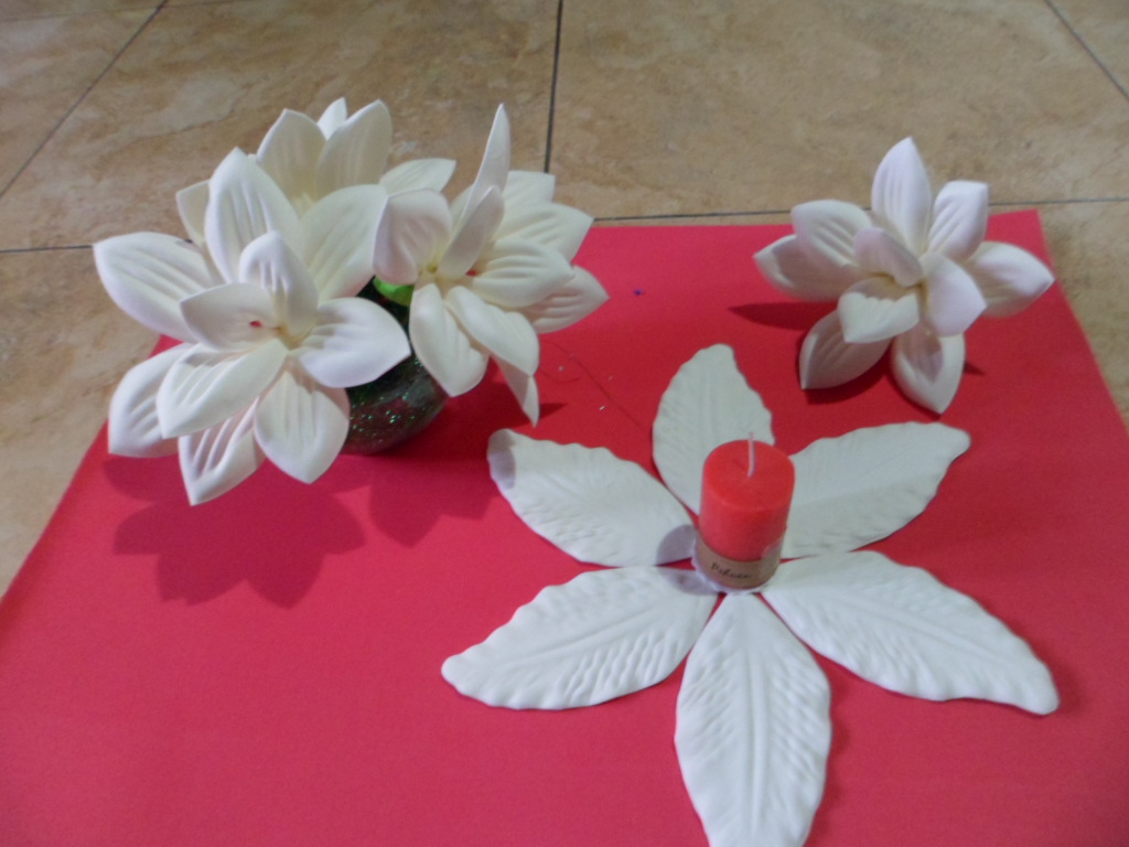 Orquídeas y flores exóticas Facebook - Imagenes De Rosas Y Orquideas