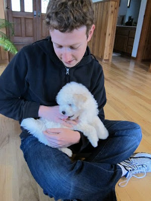 Beast or Puli Mark Zuckerberg's dog