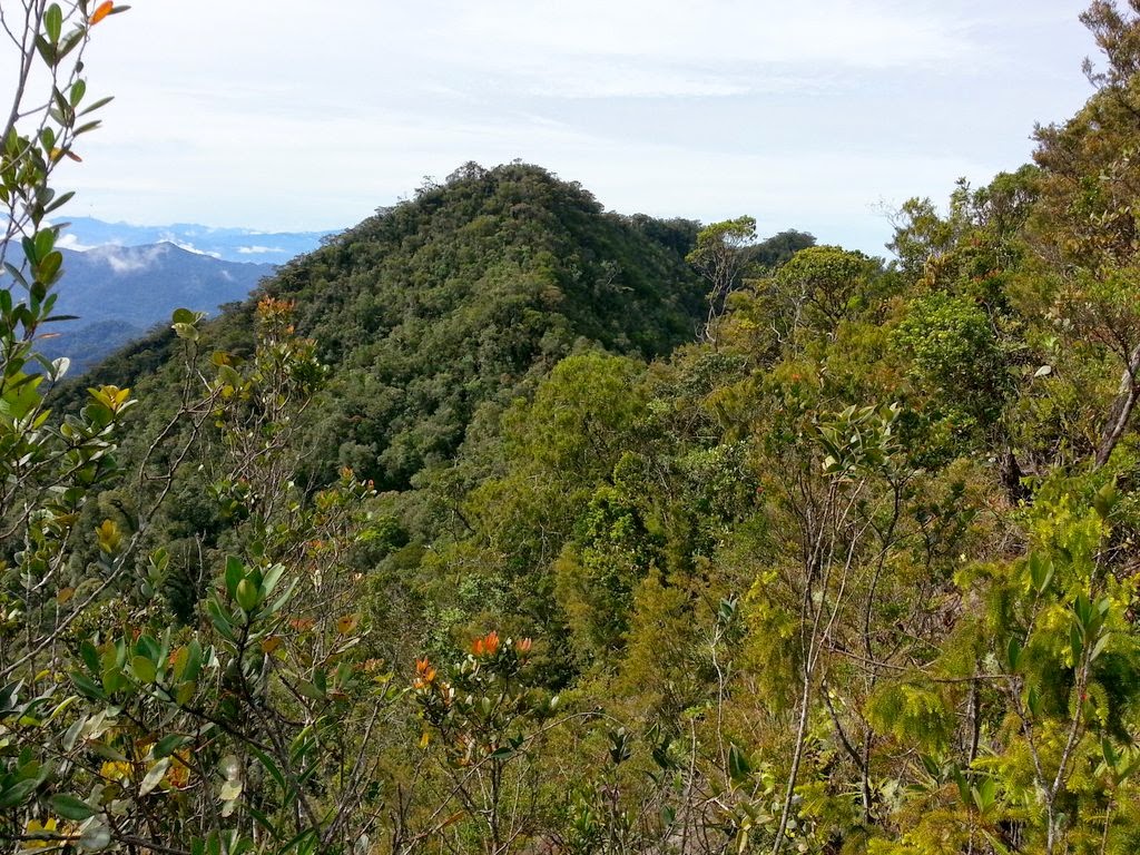 Brunei's highest mountain is Bukit Pagon, which stands at 1850 meters | Let's Nailed The World blog