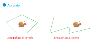 http://www.primerodecarlos.com/SEGUNDO_PRIMARIA/febrero/tema3/actividades/mates/lineas_poligonales_abiertas_cerradas/aprende_linea_poligonal/visor.swf