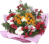 http://coltisorderai.blogspot.ro