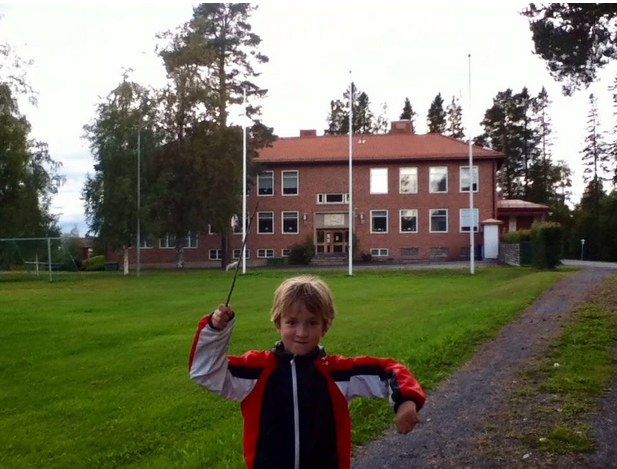 zweden emigreren