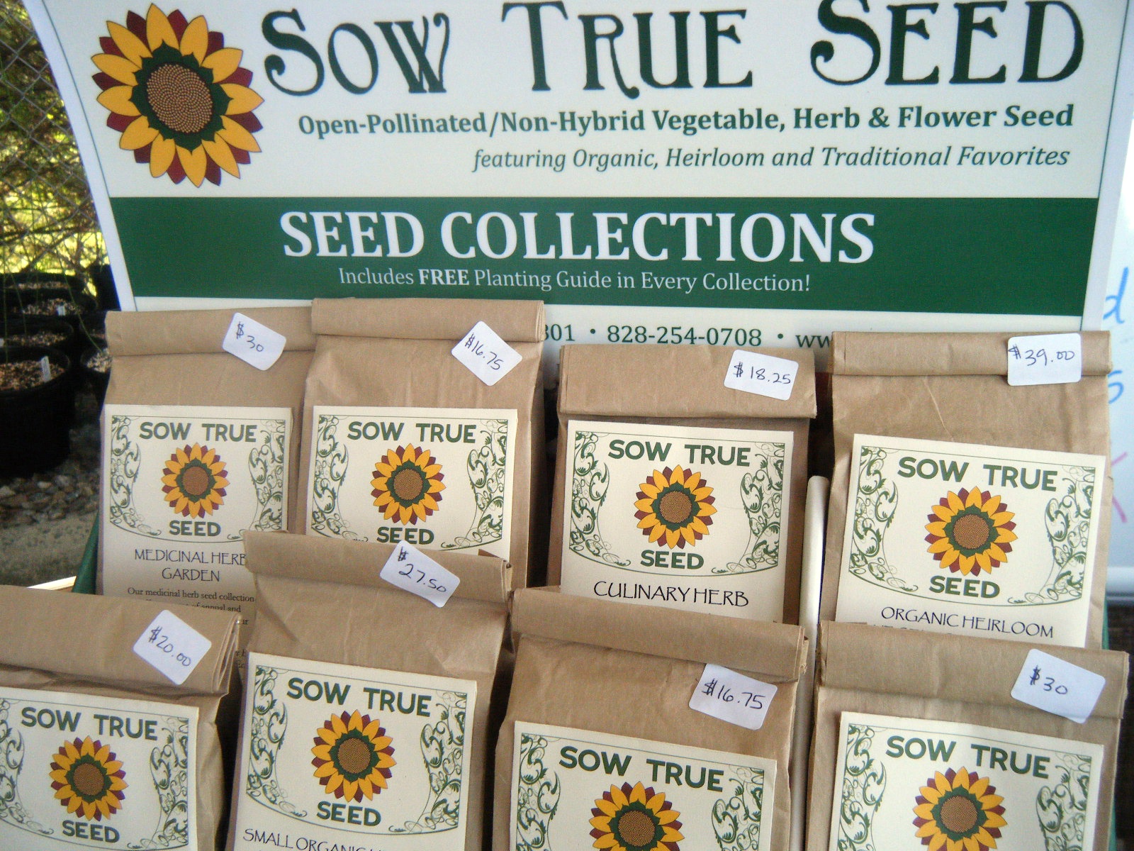 Flour Sack Mama Sow True Seed Thriving in Third Year
