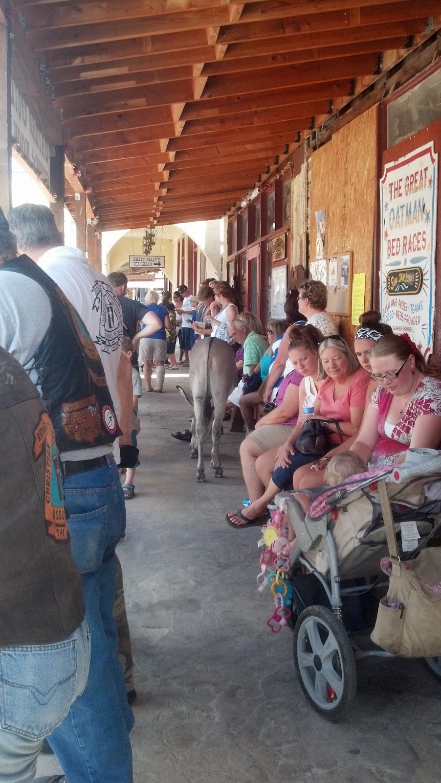 Singles in oatman az