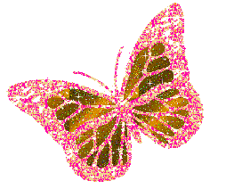 glittery butterfly random