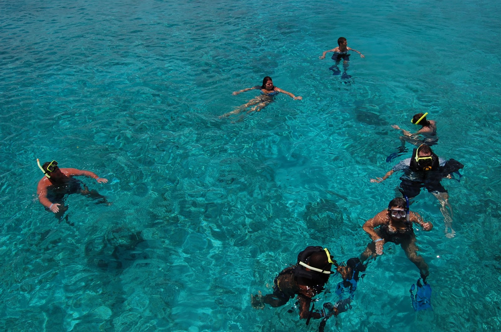 Rich Harrill's Aruba Snorkeling with De Palm Tours