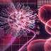  JX-594: virus manipulado genéticamente mata el cáncer de hígado