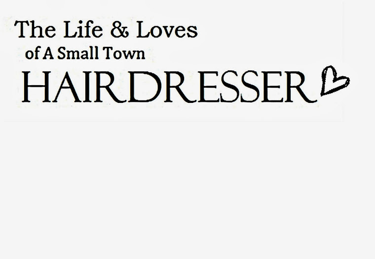 The Life & Loves of A Small Town Hairdresser