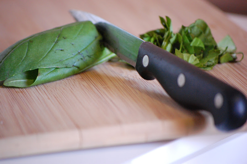 Slone Ranger Tips to Cutting Basil