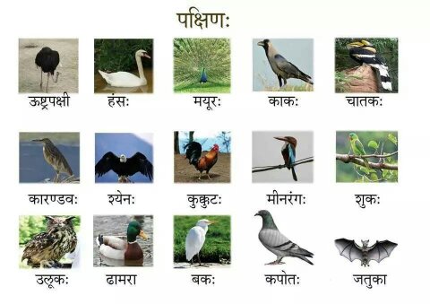 sanskrittree: Names in Sanskrit