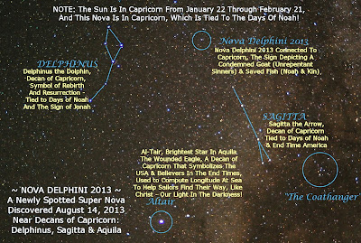 Delphinus the dolphin constellation image