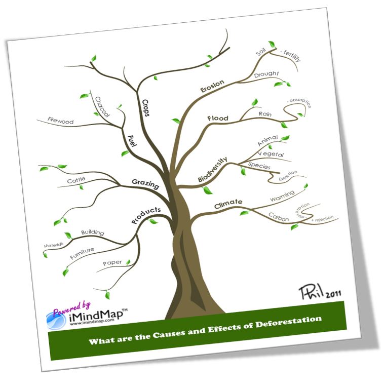 deforestation cause and effects Deforestation involves the cutting down, burning, and damaging of forests deforestation can be defined as the change of forest with depletion of tree crown cover more than 90% however, depletion of forest tree crown cover less than 90% is considered forest degradation soil is exposed to wind. deforestation cause and effects Deforestation involves the cutting down, burning, and damaging of forests deforestation can be defined as the change of forest with depletion of tree crown cover more than 90% however, depletion of forest tree crown cover less than 90% is considered forest degradation soil is exposed to wind.