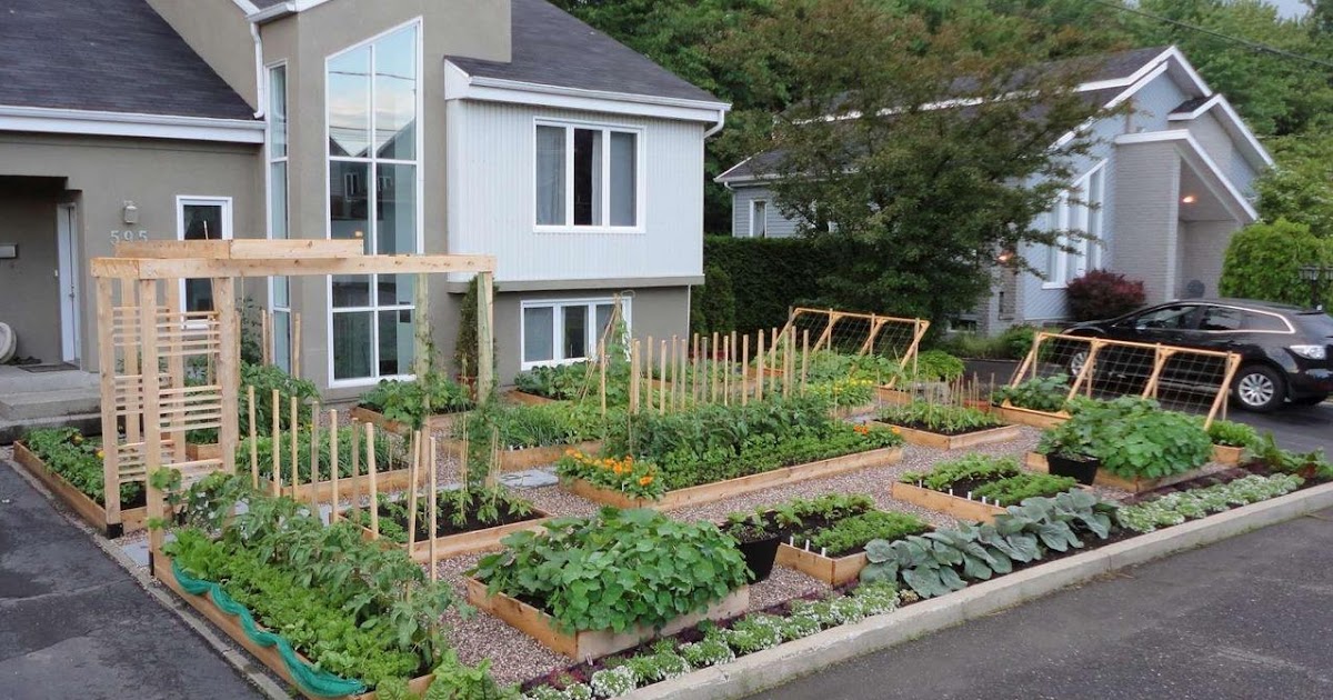 Backyard Gardens Illegal tywkiwdbi quot wiki widbee quot an illegal front yard Backyard Gardens Illegal tywkiwdbi quot wiki widbee quot an illegal front yard