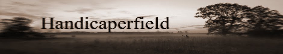 Handicaperfield