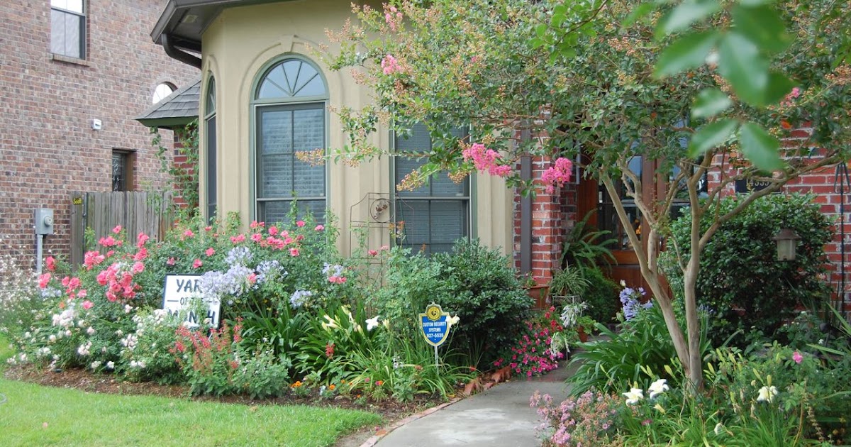 Jeannie's Fairy Rose Louisiana Garden Yard of the Month