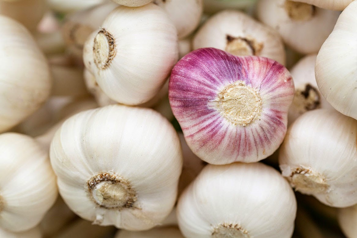 garlic http://indonesian-herbal-medicine.blogspot.com/2014/11/garlic-for-curing-disease.html