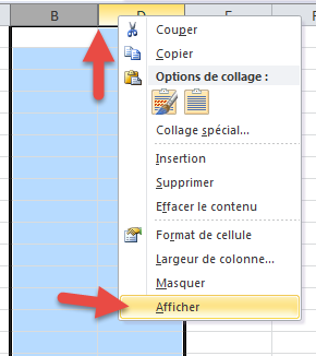 afficher colonne masquée 2 afficher colonne masquée 2