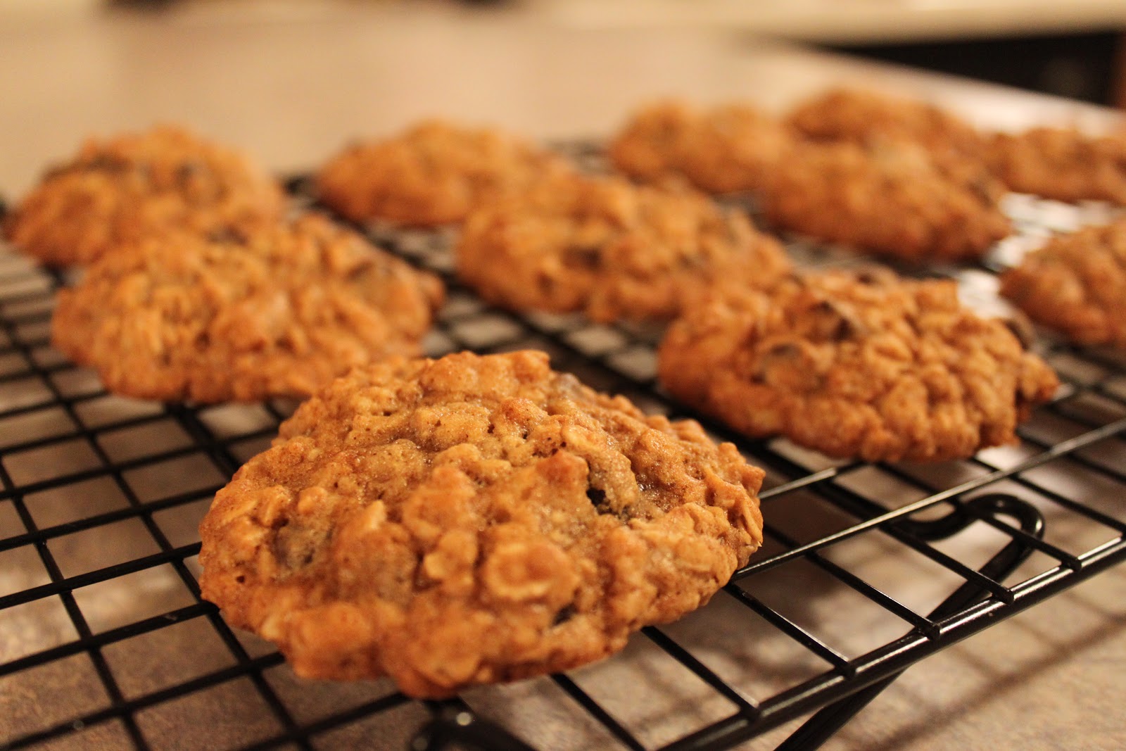 Explore Love Eat Oatmeal Dark Chocolate Chip Cookies