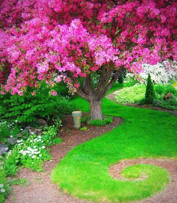 jardín hermoso jardin-secreto
