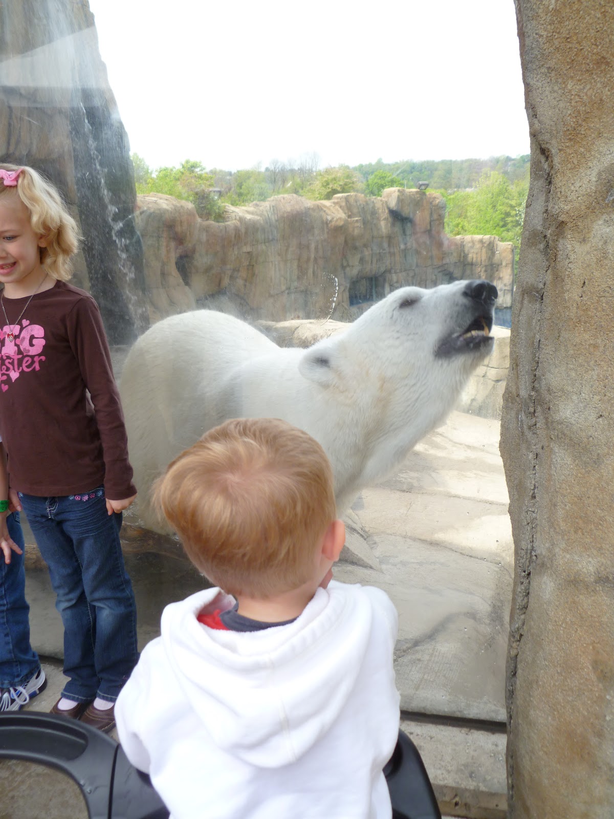 Places to Belong & a Trip to the Pittsburgh Zoo