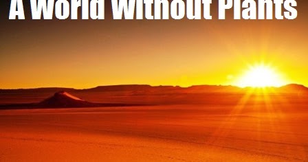 Imagine a world without plants image