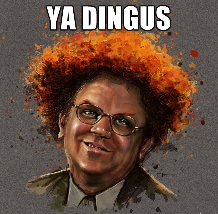 ya-dingus.jpg