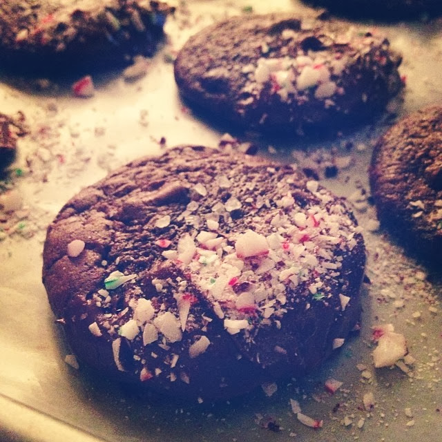 Salted Dark Chocolate Truffle Cookies Cupcake Boom