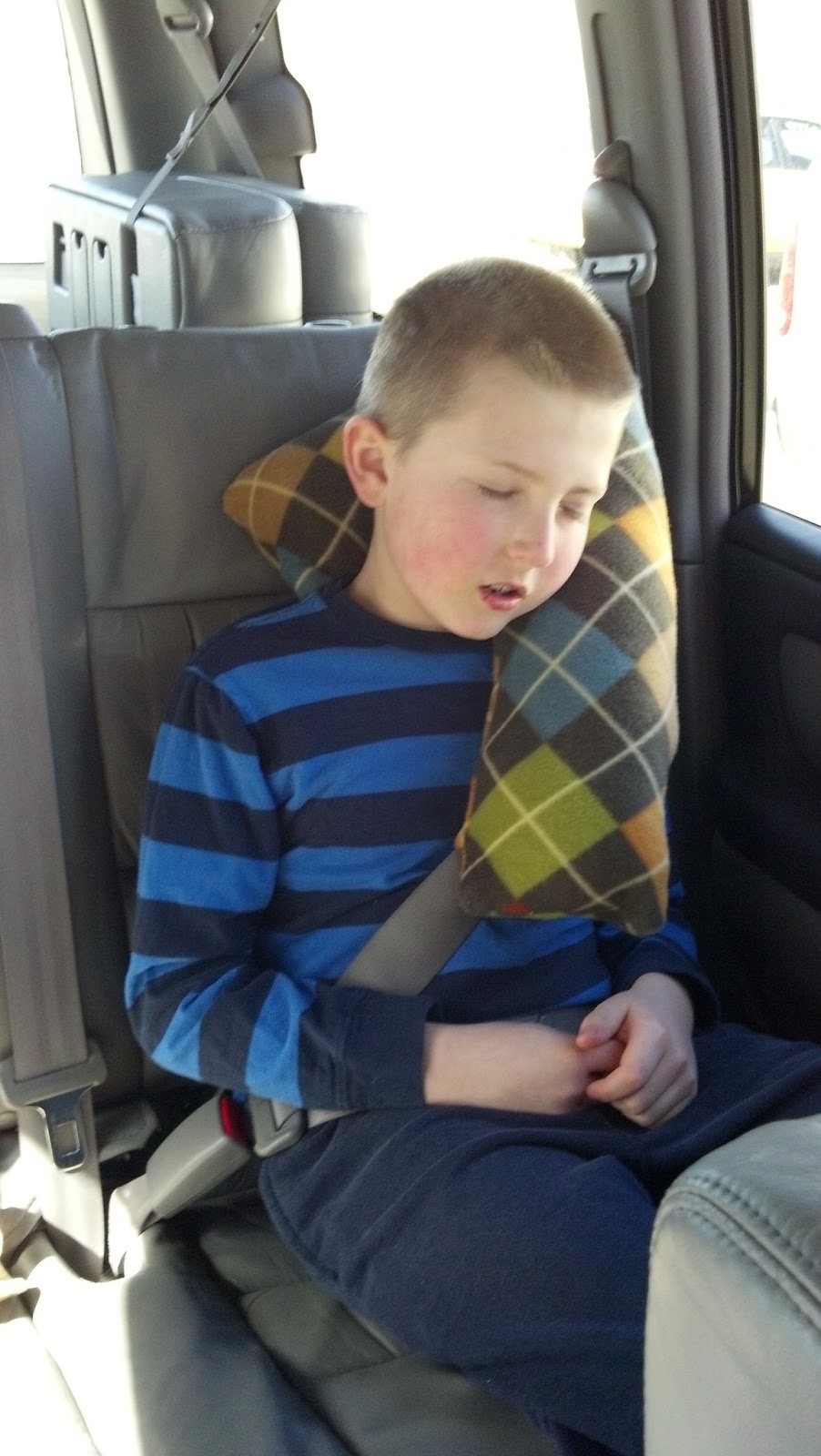 A Few Of My Favorite Things Seat Belt Pillow Tutorial
