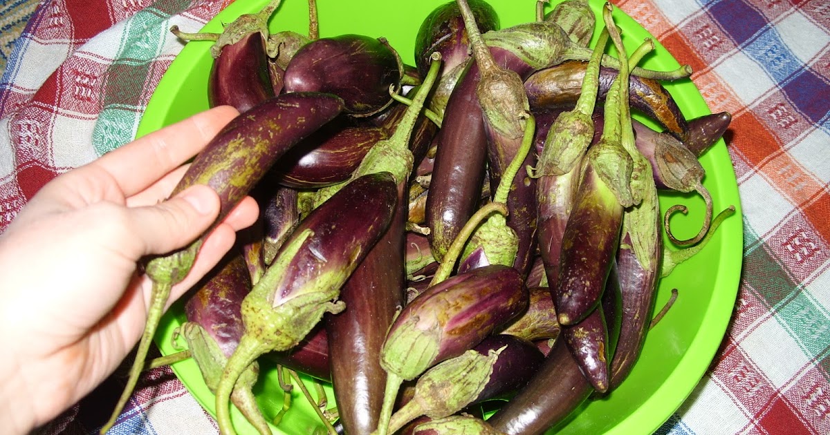 DÜŞLER SOKAĞI: Patlıcan Reçeli Nasıl Yapılır?