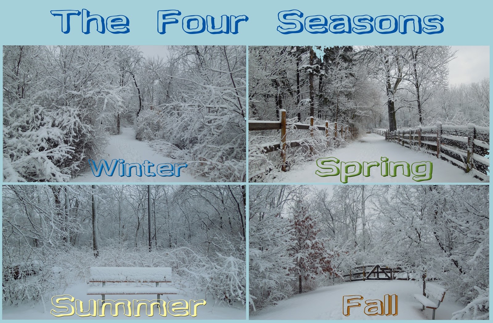 Four Seasons, The - Just In Time Four Seasons, The - Just In Time
