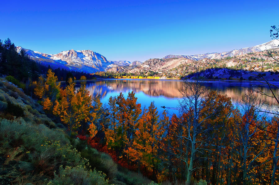 Today's serenity scene comes to us from June Lake, California. Wired