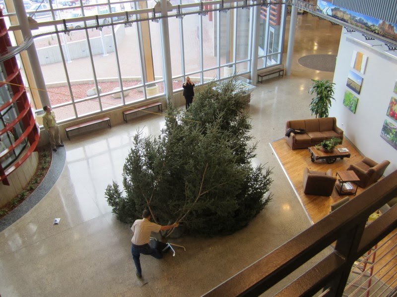 Agroliquid Projects How To Erect A 27 Tall Christmas Tree