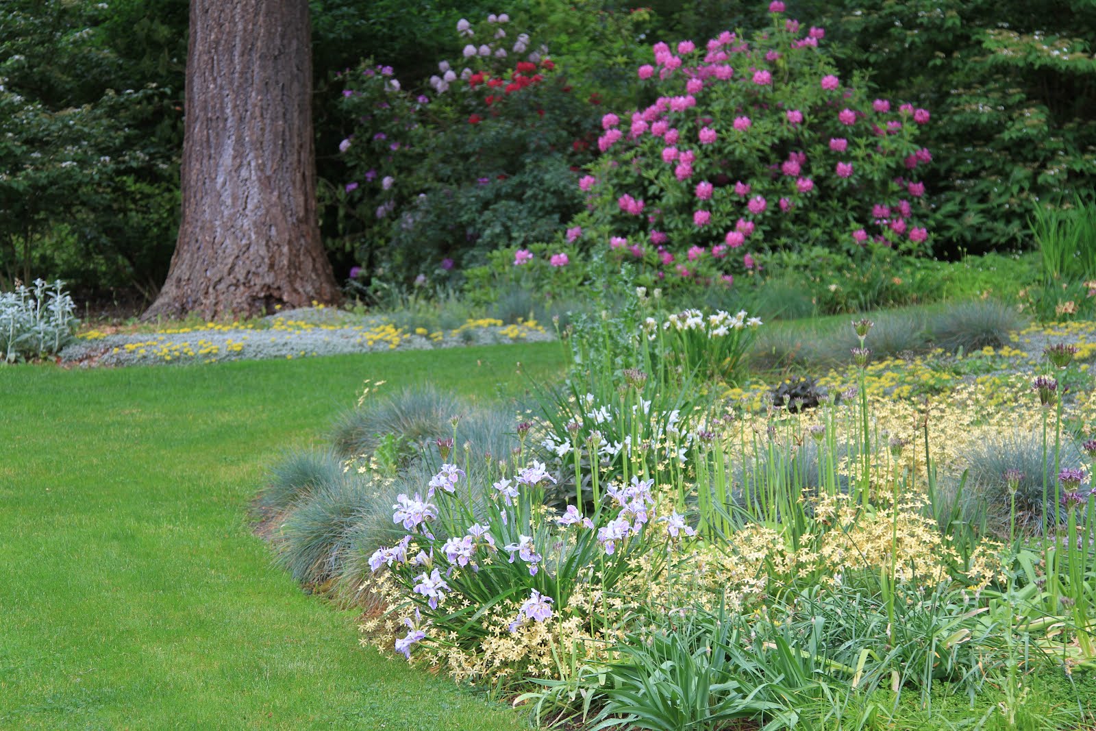 TravelMarx A Visit to Dunn Gardens