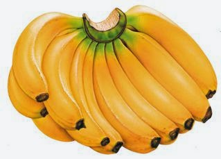5 Jenis Pisang Terbaik di Indonesia 5 Jenis Pisang Terbaik di Indonesia
