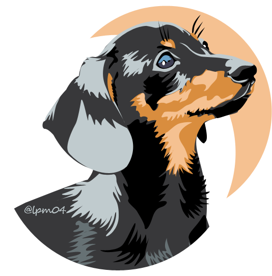 dachshund dog vector art illustration