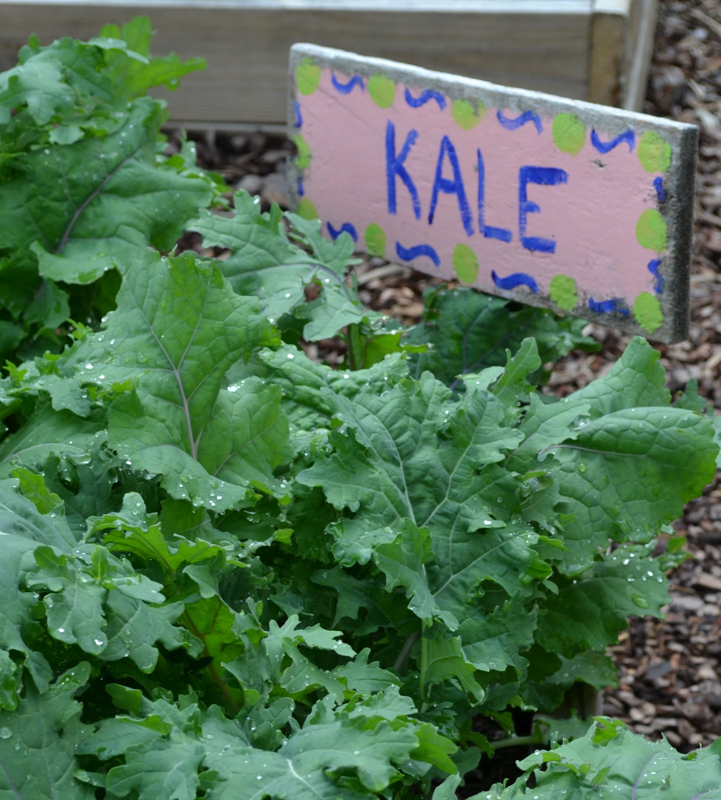 Growing Days: Edible Dreams.