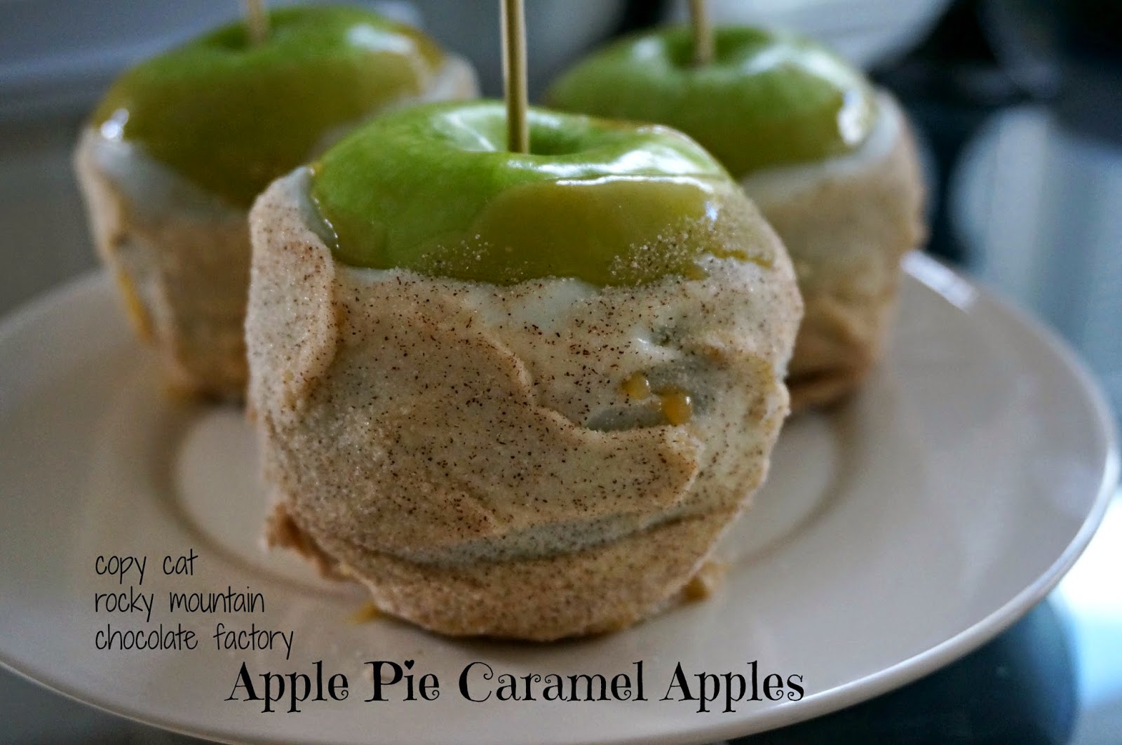 A Pinch of Chaos Copy Cat Rocky Mountain Chocolate Factory Apple Pie