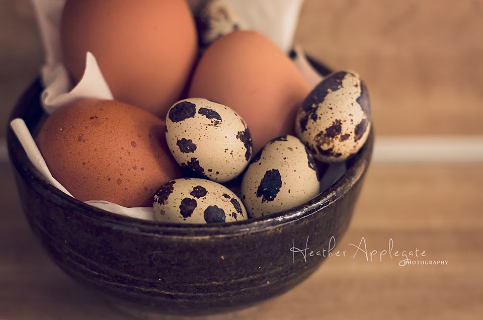 http://heather-applegate.artistwebsites.com/featured/fresh-eggs-heather-applegate.html