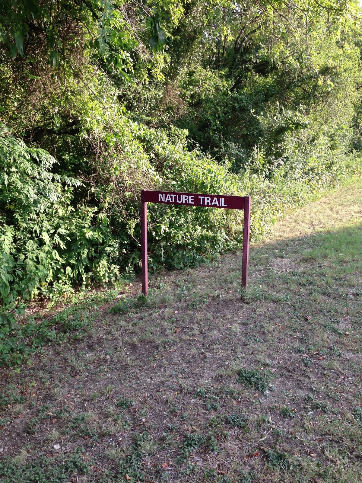 The Roaming Itinerant Woodway Park (Waco, TX)