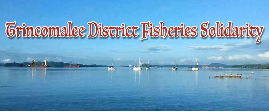 Trincomalee District Fisheries Solidarity