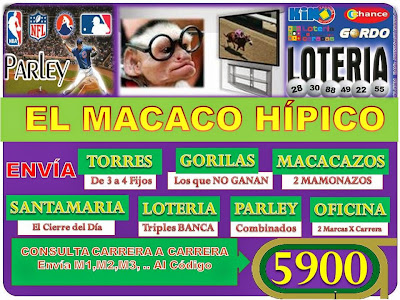 MACACO HIPICO CODIGO 5900