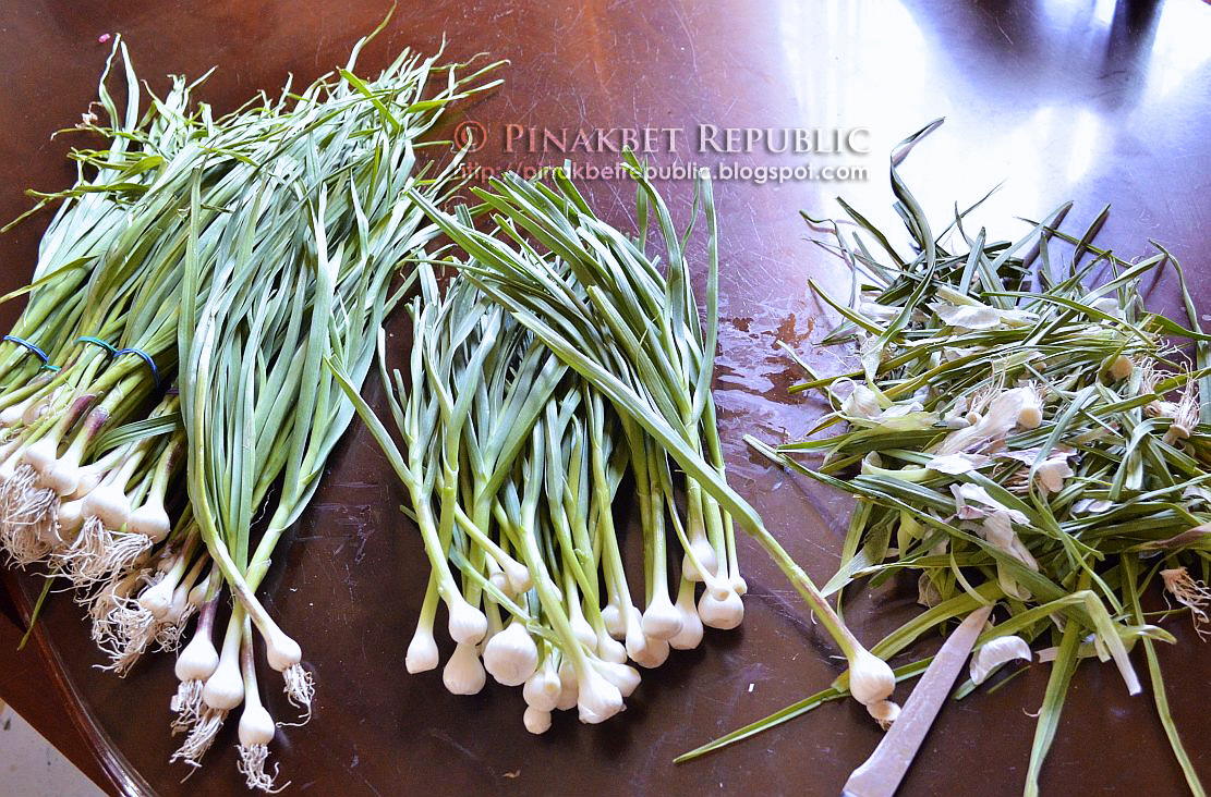 pinakbet a bawang, young garlic stew PINAKBET REPUBLIC