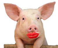 lipstick-on-pig.png