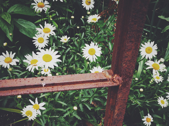 Bubby and Bean ::: Living Creatively: Nursery Adventures // Blumen Gardens