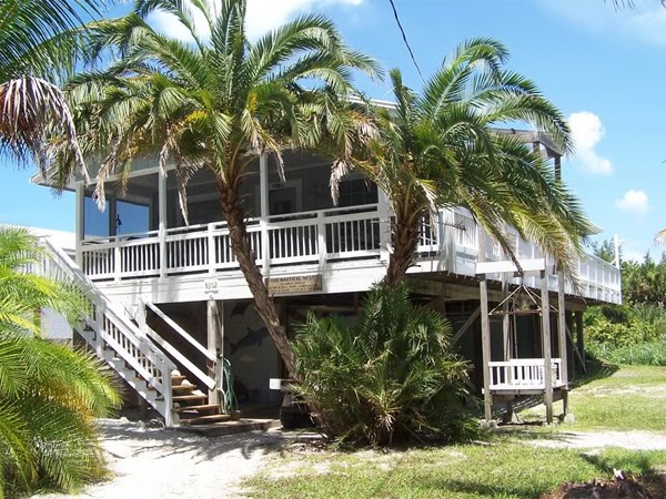 Die schönsten Strandhäuser: Strandhaus mit grosser Terrasse und Palmen