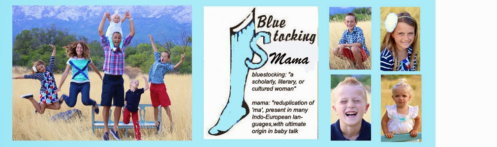 bluestocking mama